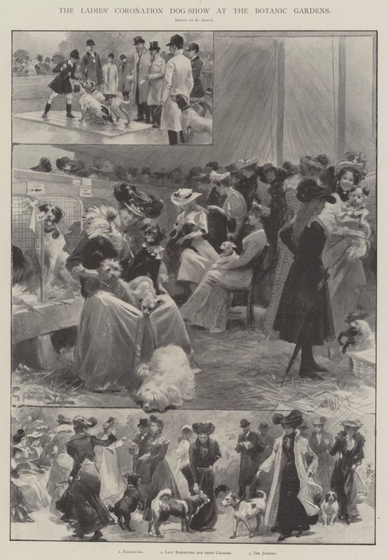 Botanik Bahçelerinde Bayanların Taç Giyme Köpek Gösterisi by G.S. Amato
