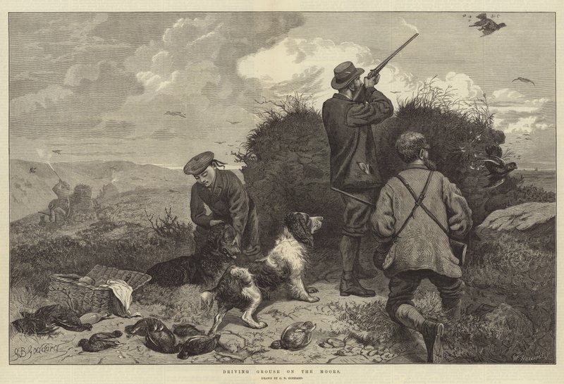 ಮೂರ್ಸ್ ಟರ್ಕ್‌ನಲ್ಲಿ ಡ್ರೈವಿಂಗ್ ಗ್ರೌಸ್ by George Bouverie Goddard