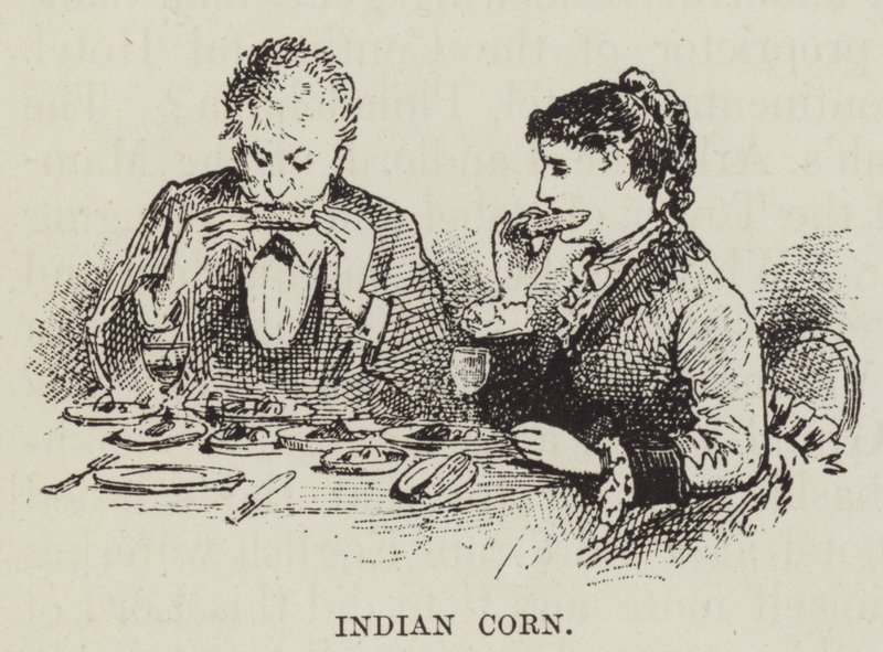 Hint mısırı by George Augustus Sala