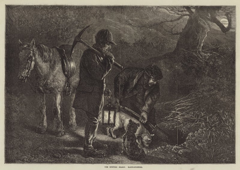 Av Mevsimi, Dünyayı Durduran by George Bouverie Goddard