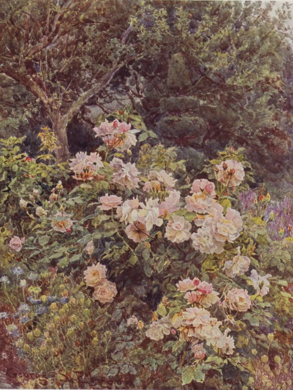 Vikontes Folkestone by George Samuel Elgood