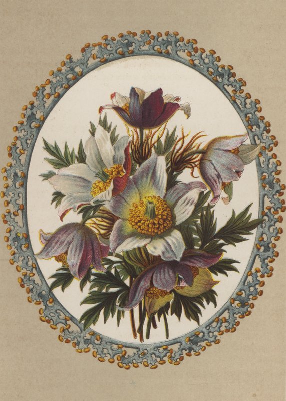 Anemonlar (kromolito) by German School