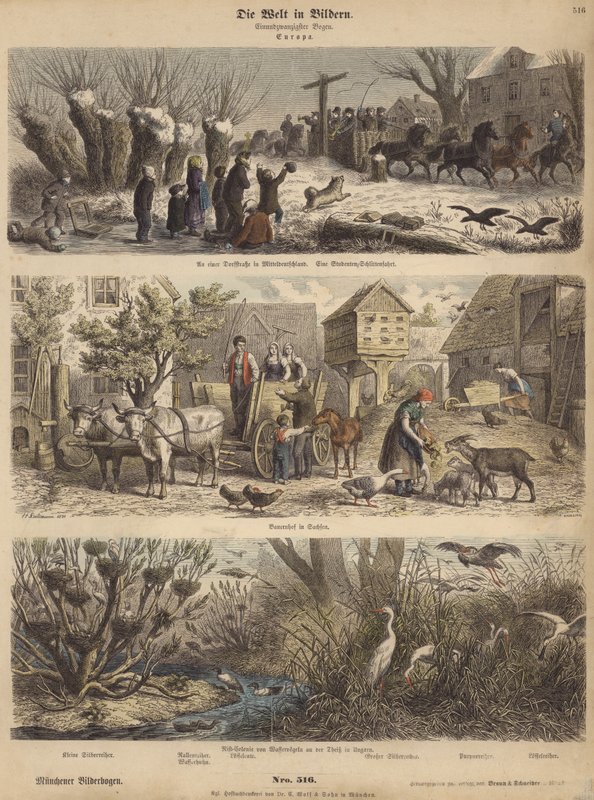 Avrupa (renkli gravür) by German School