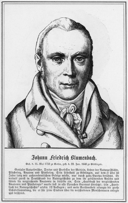 Johann Friedrich Blumenbach (gravür) by German School