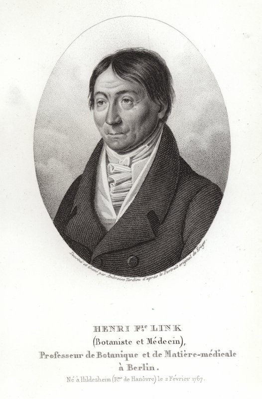 Johann Heinrich Friedrich Link by German School