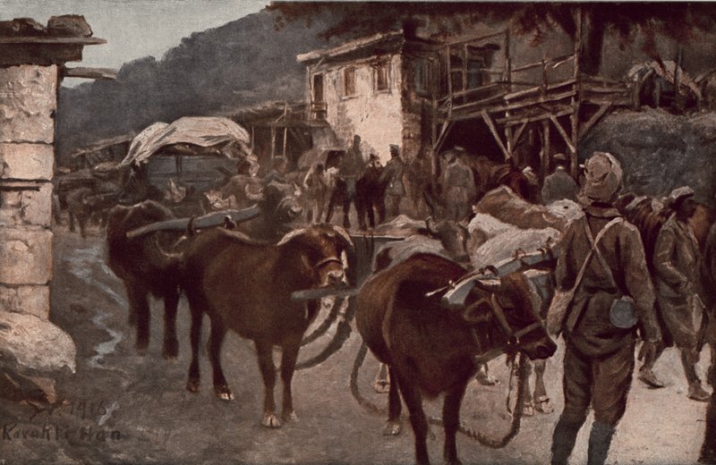 Dünya Savaşında Türkiye by German School