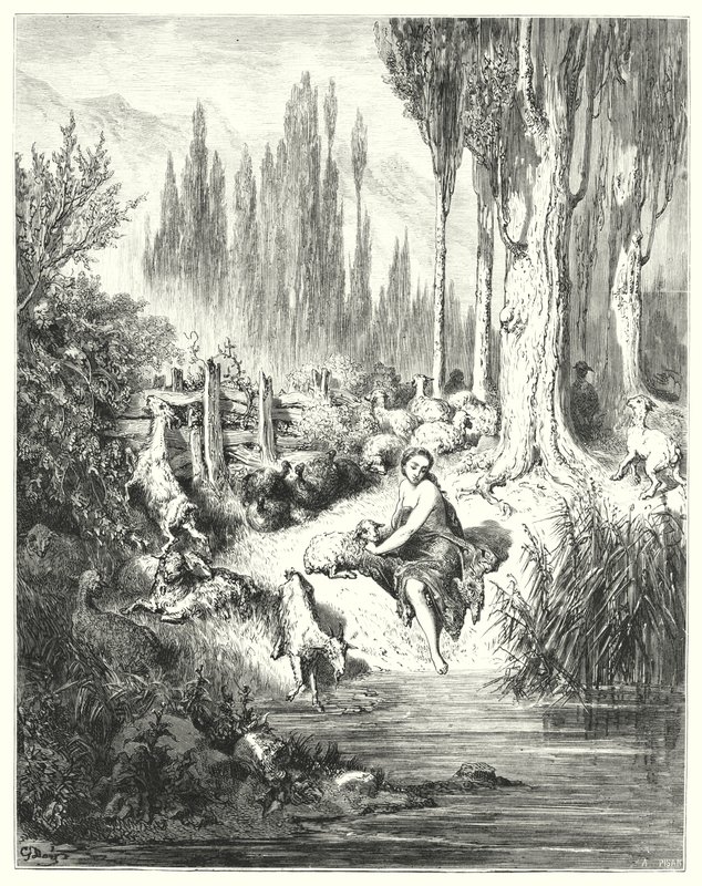 Peau-D"Ane; Eşek Derisi by Gustave Dore