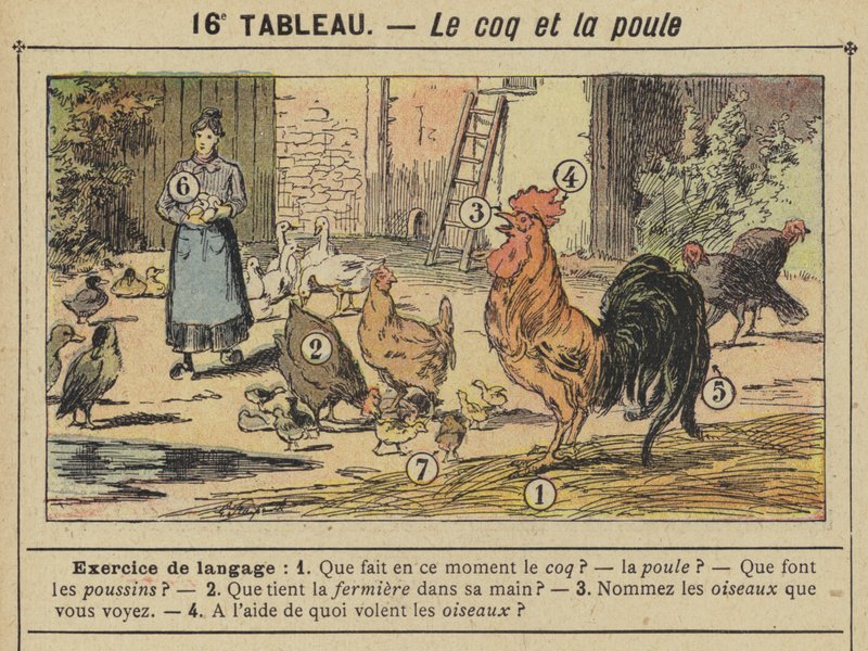 Horoz ve tavuk (renkli taş) by Gustave Fraipont