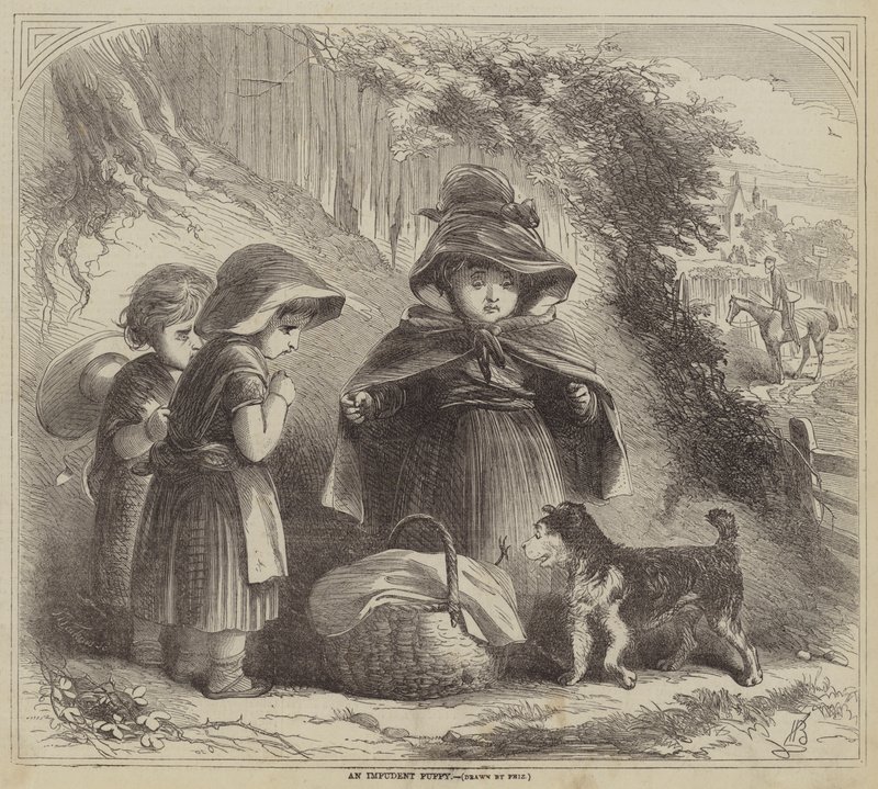 Küstah bir köpek yavrusu by Hablot Knight Browne