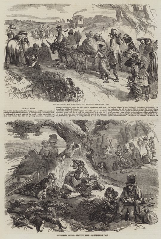 şerbetçiotu toplama by Hablot Knight Browne
