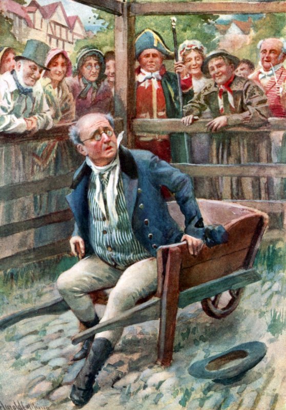 Bay Pickwick Pound