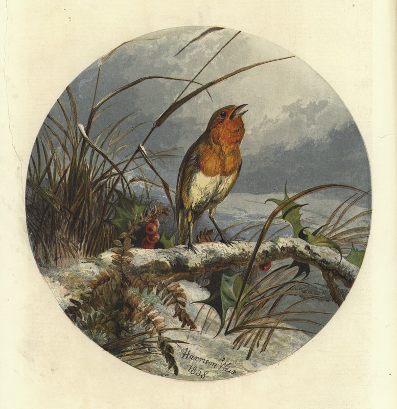 Noel Şarkıcısı by Harrison William Weir