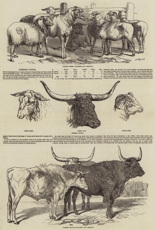 Smithfield Kulübü by Harrison William Weir