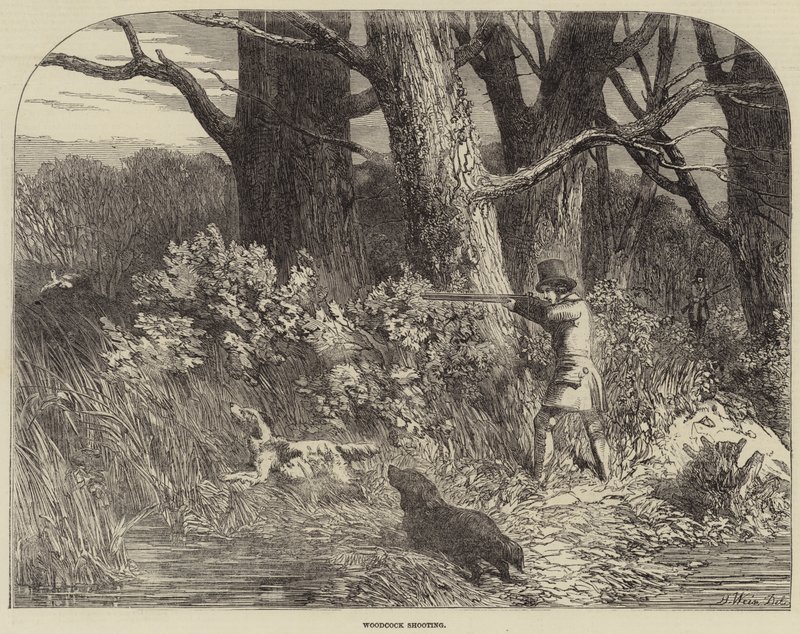 çulluk atışı by Harrison William Weir
