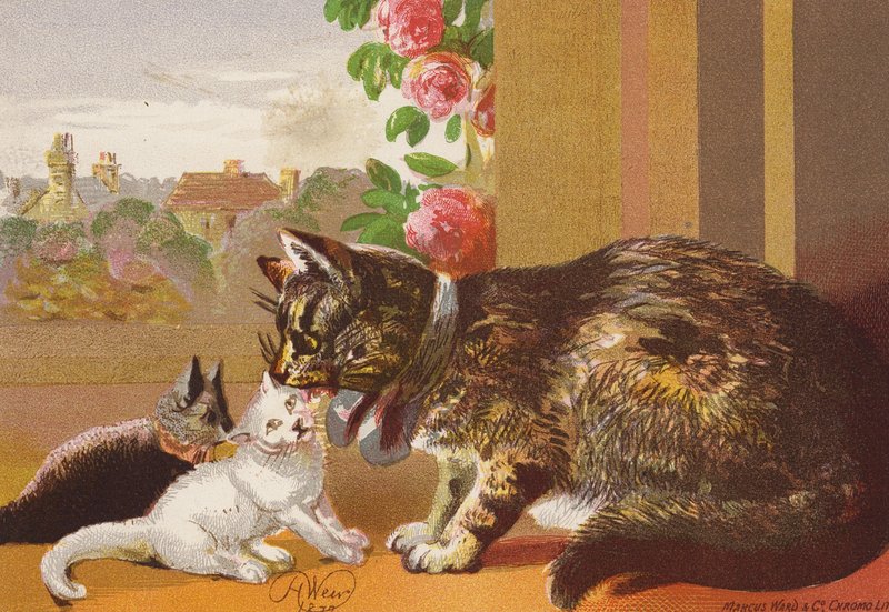  by Harrison William Weir