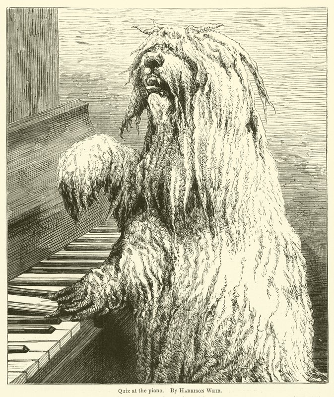 Piyanoda bilgi yarışması by Harrison William Weir
