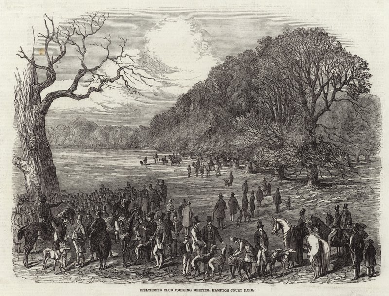 ಸ್ಪೆಲ್ಥಾರ್ನ್ ಕ್ಲಬ್ ಕೋರ್ಸ್ ಮೀಟಿಂಗ್ ಟರ್ಕ್ by Harrison William Weir