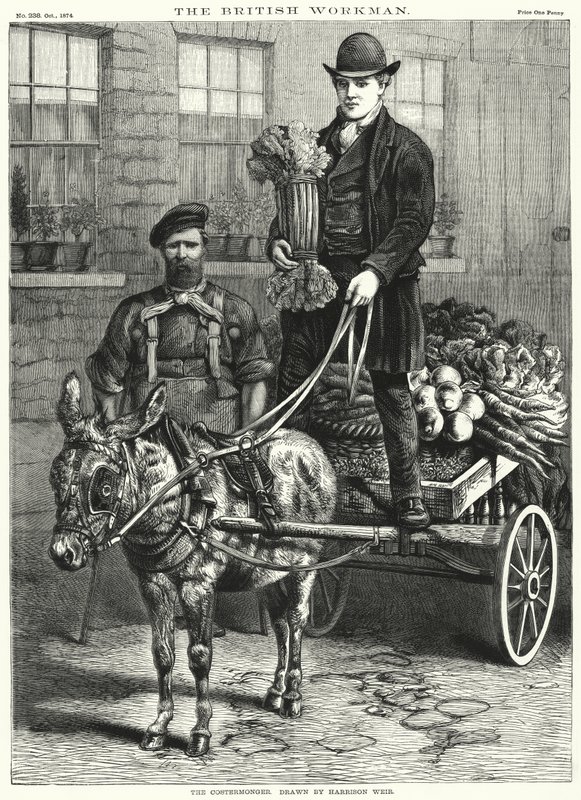 satıcı by Harrison William Weir