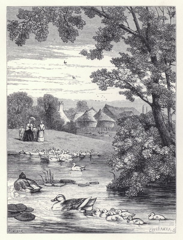 Ördek Göleti (gravür) by Harrison William Weir