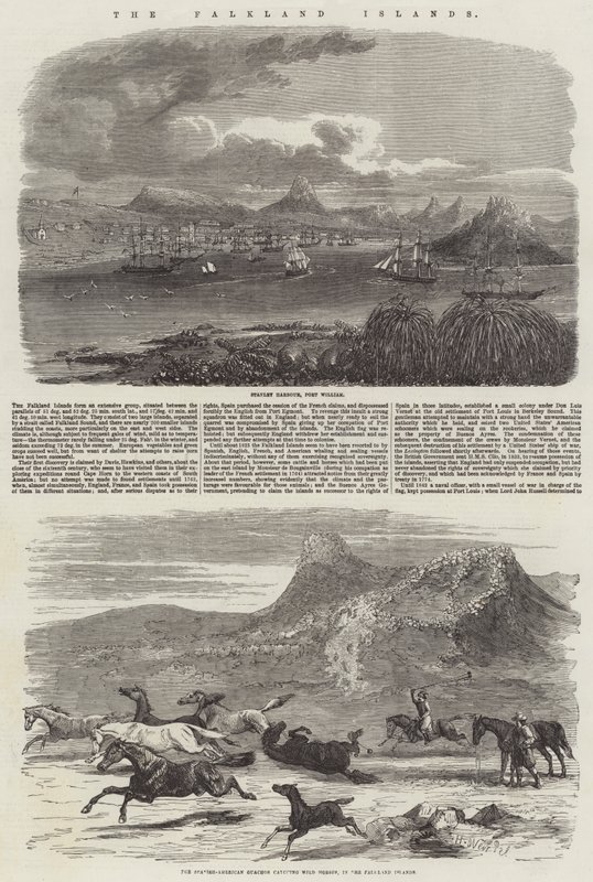 Falkland Adaları by Harrison William Weir