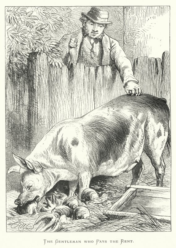 Kirayı Ödeyen Bey by Harrison William Weir