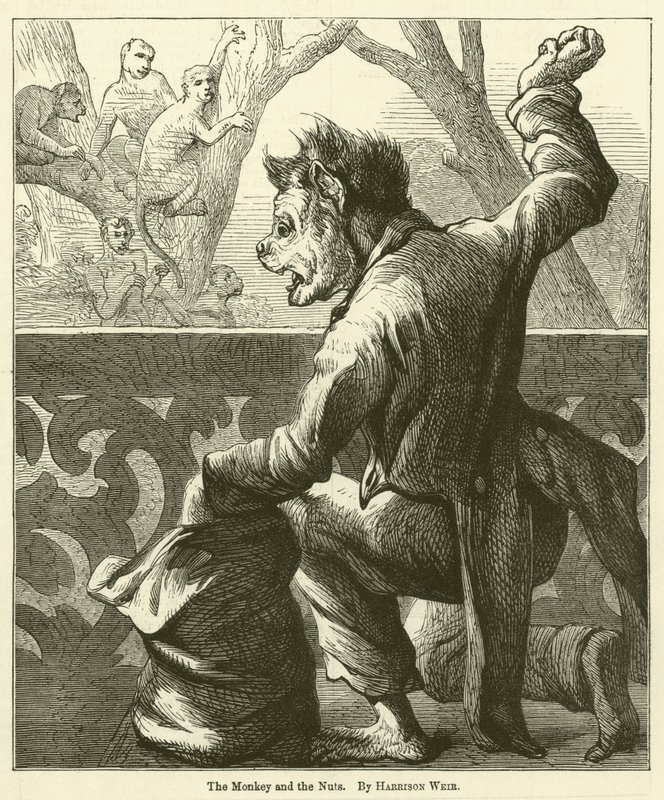 Maymun ve Fındık by Harrison William Weir