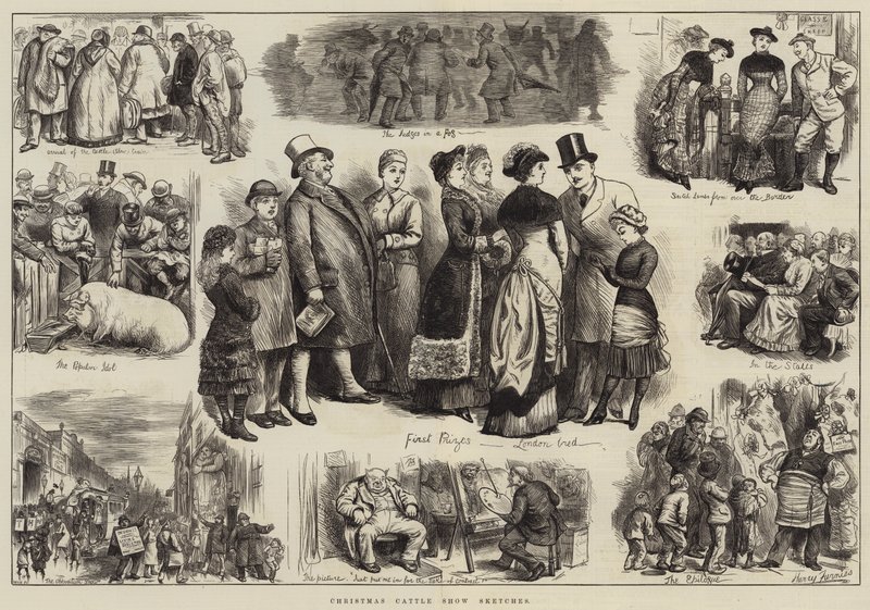 ಕ್ರಿಸ್ಮಸ್ ಕ್ಯಾಟಲ್ ಶೋ ಸ್ಕೆಚಸ್ ಟರ್ಕಿ by Harry Furniss