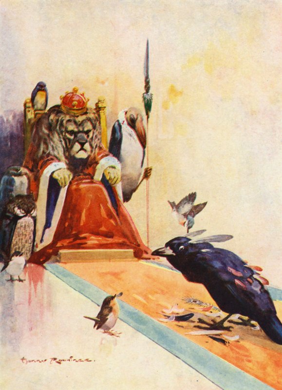 Vain Jackdaw (renkli taş) by Harry Rountree