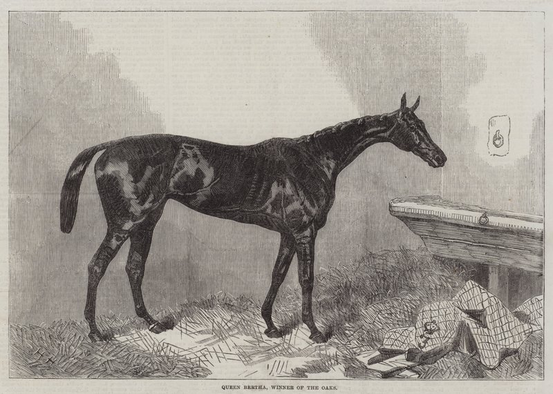 ರಾಣಿ ಬರ್ತಾ, ಓಕ್ಸ್ ಟರ್ಕಿಯ ವಿಜೇತ by Harry Hall