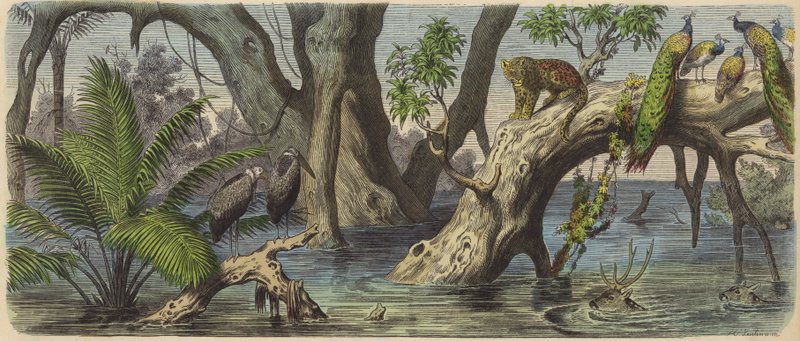 Doğu Hindistan'da sel (renkli gravür) by Heinrich Leutemann