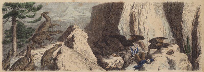 Şili And Dağları (renkli gravür) by Heinrich Leutemann