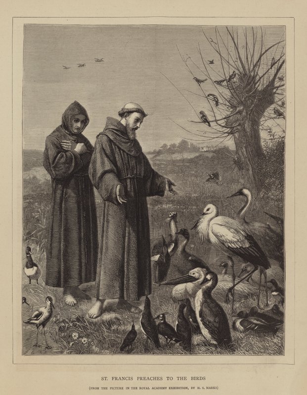 ಸೇಂಟ್ ಫ್ರಾನ್ಸಿಸ್ ಬರ್ಡ್ಸ್ ಟರ್ಕಿಗೆ ಬೋಧಿಸುತ್ತಾನೆ by Henry Stacey Marks
