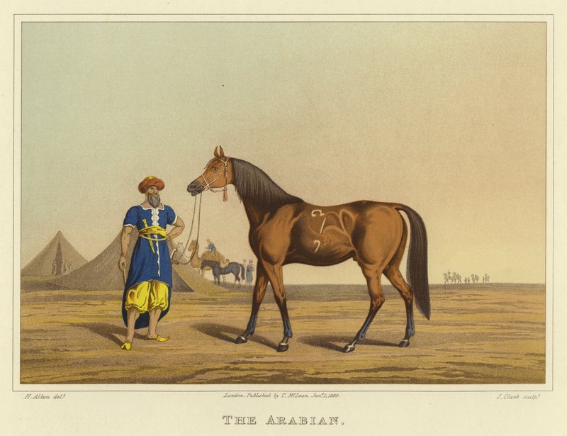 Arap (chromolitho) by Henry Thomas Alken