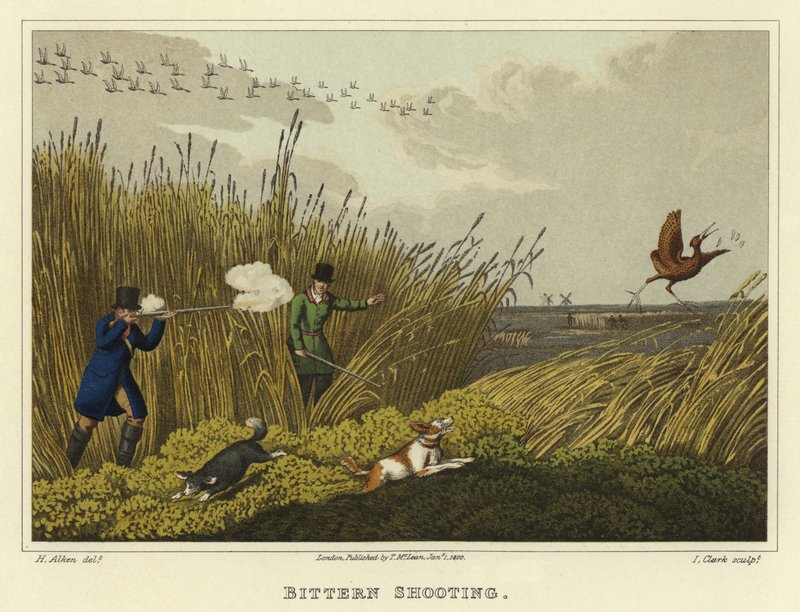 Acı Çekim (kromolitho) by Henry Thomas Alken
