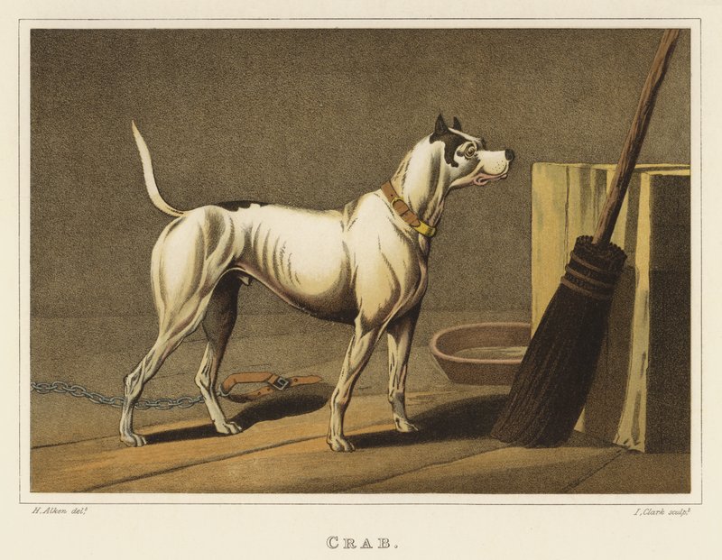 Yengeç (kromolitho) by Henry Thomas Alken