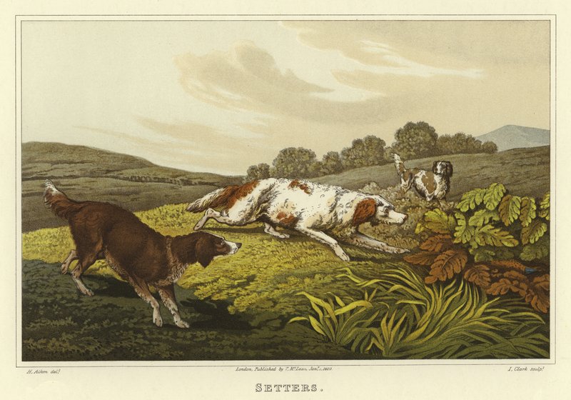 Setterler (kromolitho) by Henry Thomas Alken