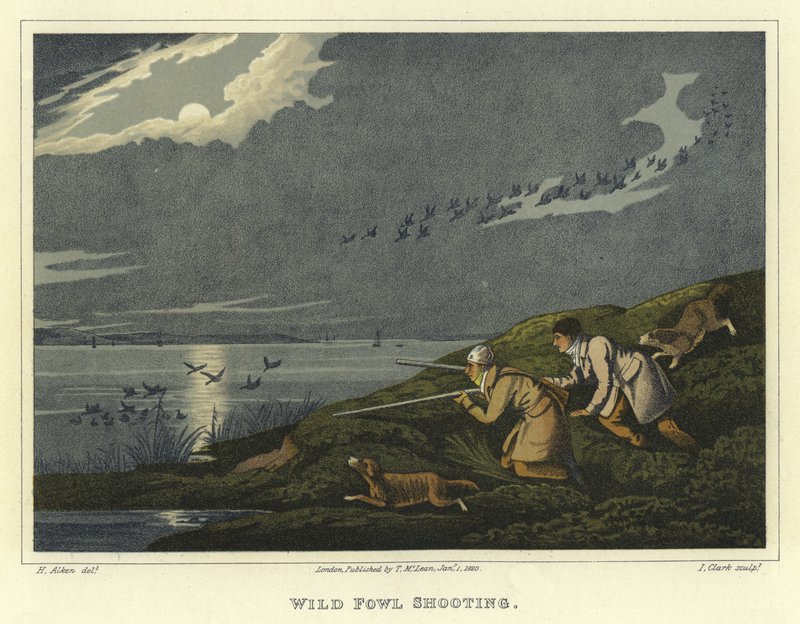Yabani Kanatlı Avı (chromolitho) by Henry Thomas Alken