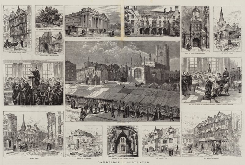 ಕೇಂಬ್ರಿಡ್ಜ್ ಇಲ್ಲಸ್ಟ್ರೇಟೆಡ್ ಟರ್ಕ್ by Henry William Brewer