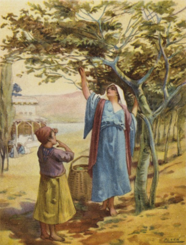 İncir toplama (renkli lito) by Henry Andrew Harper
