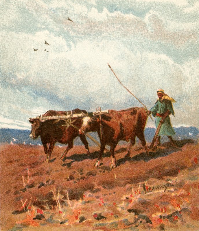 çiftçilik by Henry Andrew Harper