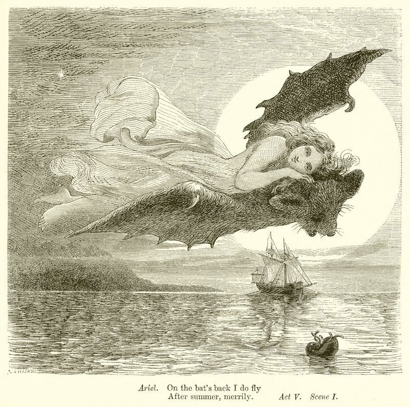 Fırtına by Henry Courtney Selous