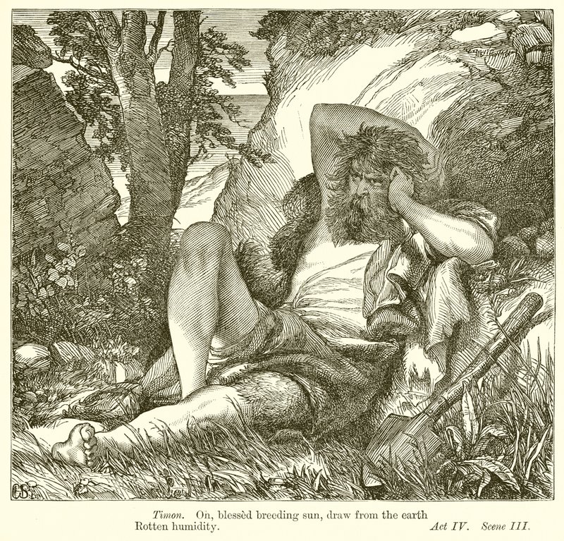 Atinalı Timon by Henry Courtney Selous