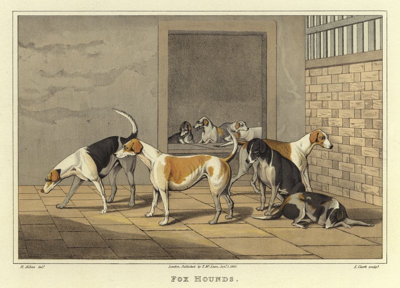 Tilki Av Köpekleri (kromolitho) by Henry Thomas Alken
