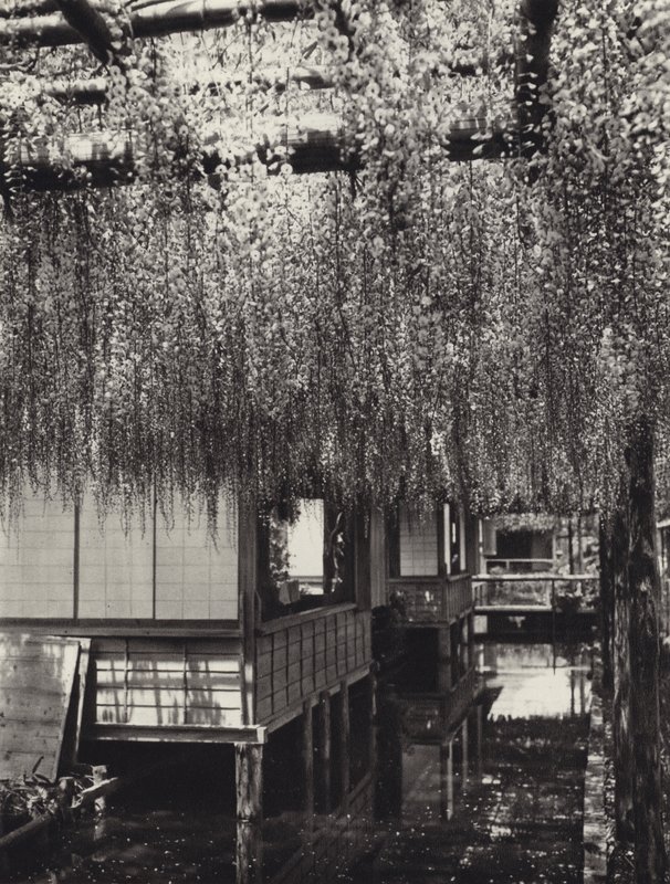 1920