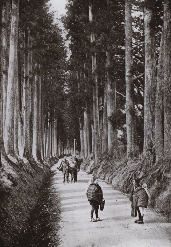 Nikko