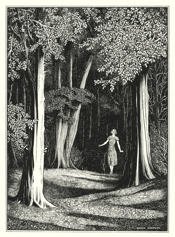  by Horace J. Knowles