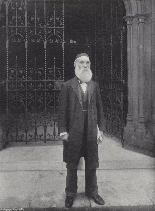 Bay J. F. X. Obrien by J. Benjamin Stone