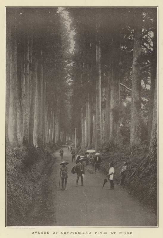 Nikko