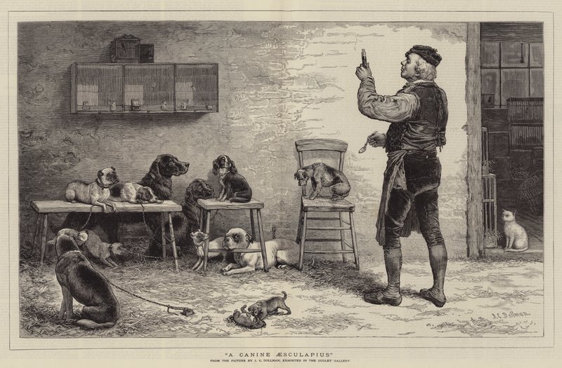 ಕೋರೆಹಲ್ಲು ಎಸ್ಕುಲಾಪಿಯಸ್ ಟರ್ಕಿ by John Charles Dollman