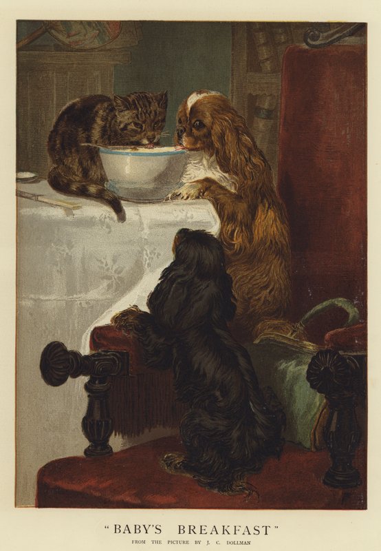 Bebeğin Kahvaltısı (kromolitho) by John Charles Dollman